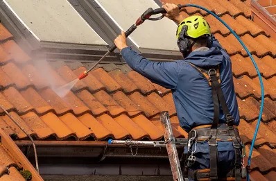 Démoussage et hydrofuge de toiture à Grand